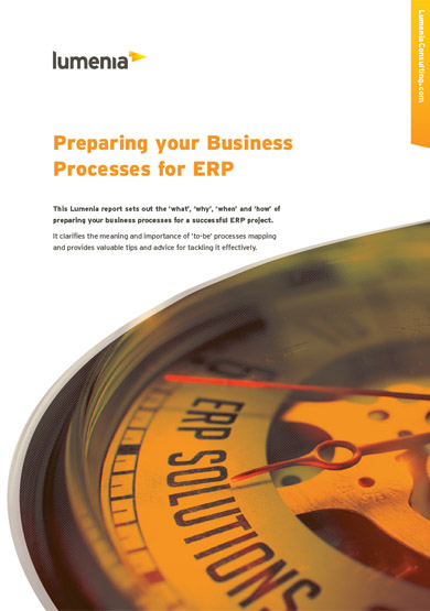 Lumenia Preparing your Business Processes for ERP Report