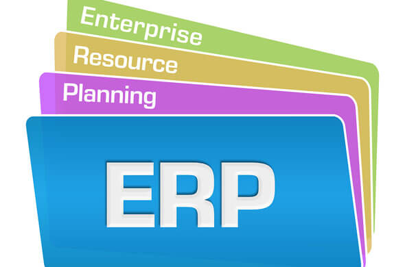 ERP Package Versus Bespoke blog