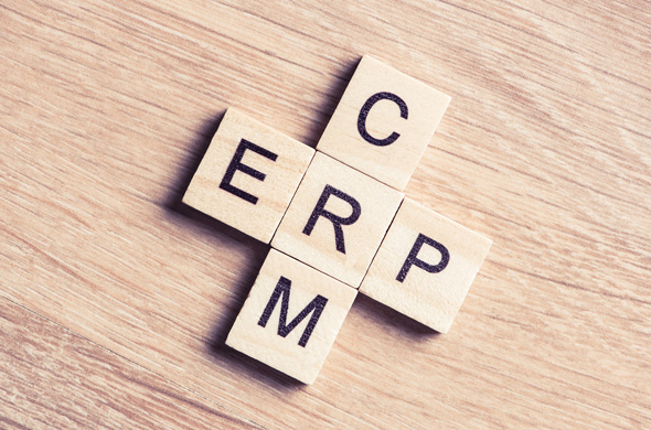 ERP and CRM - Tech First Cousins