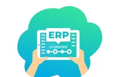 ERP versus Best of Breed